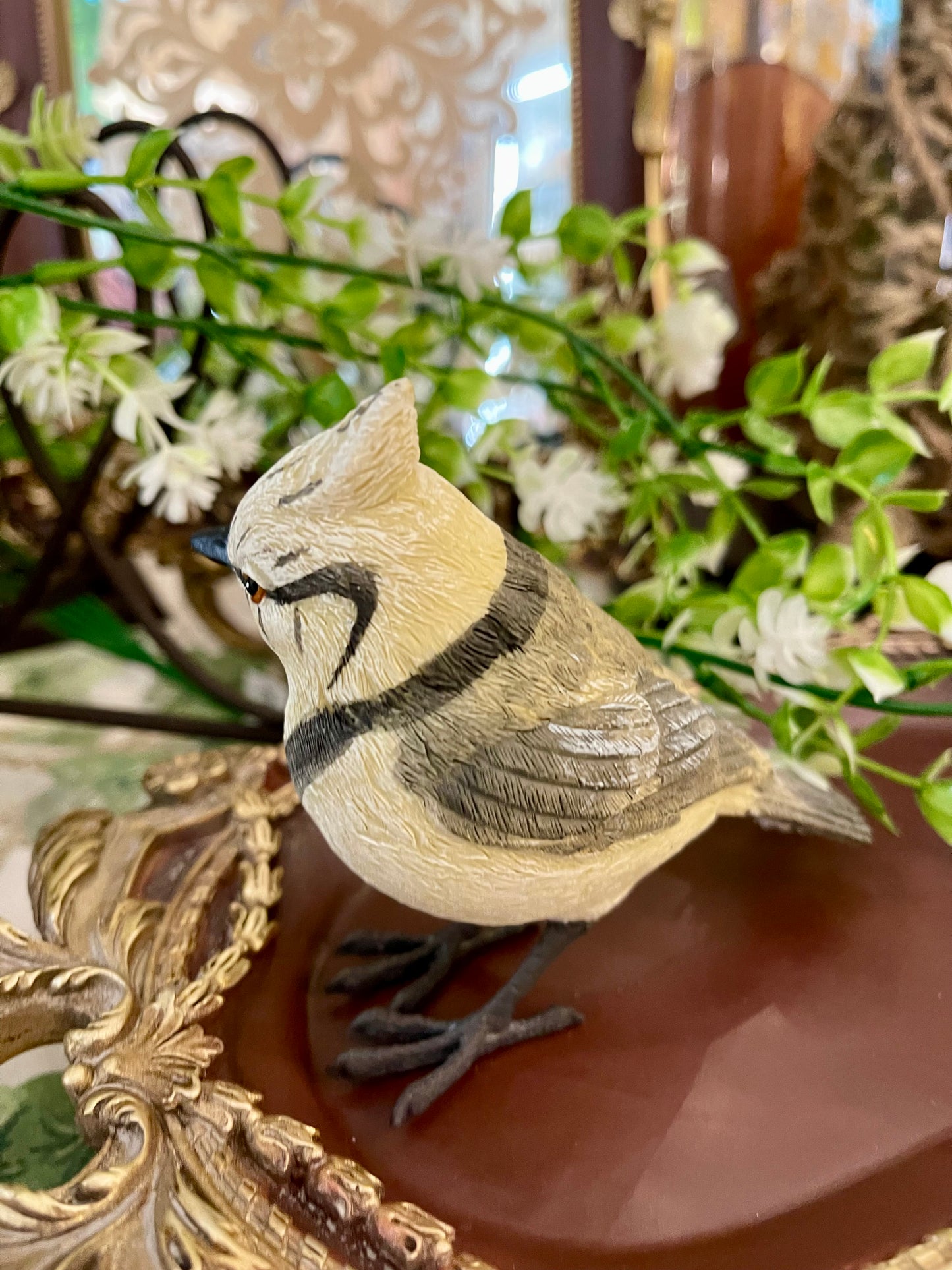 Mésange huppée