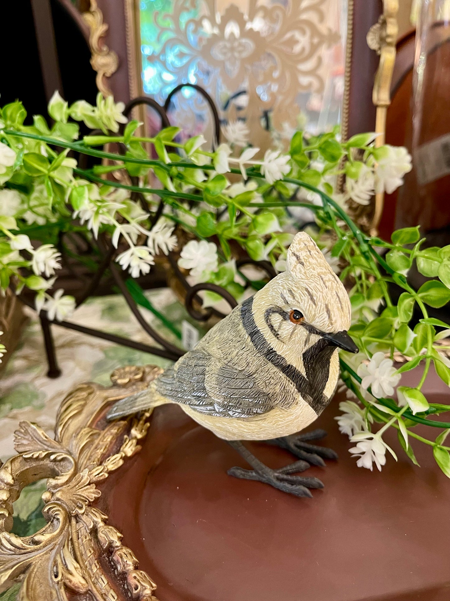 Mésange huppée