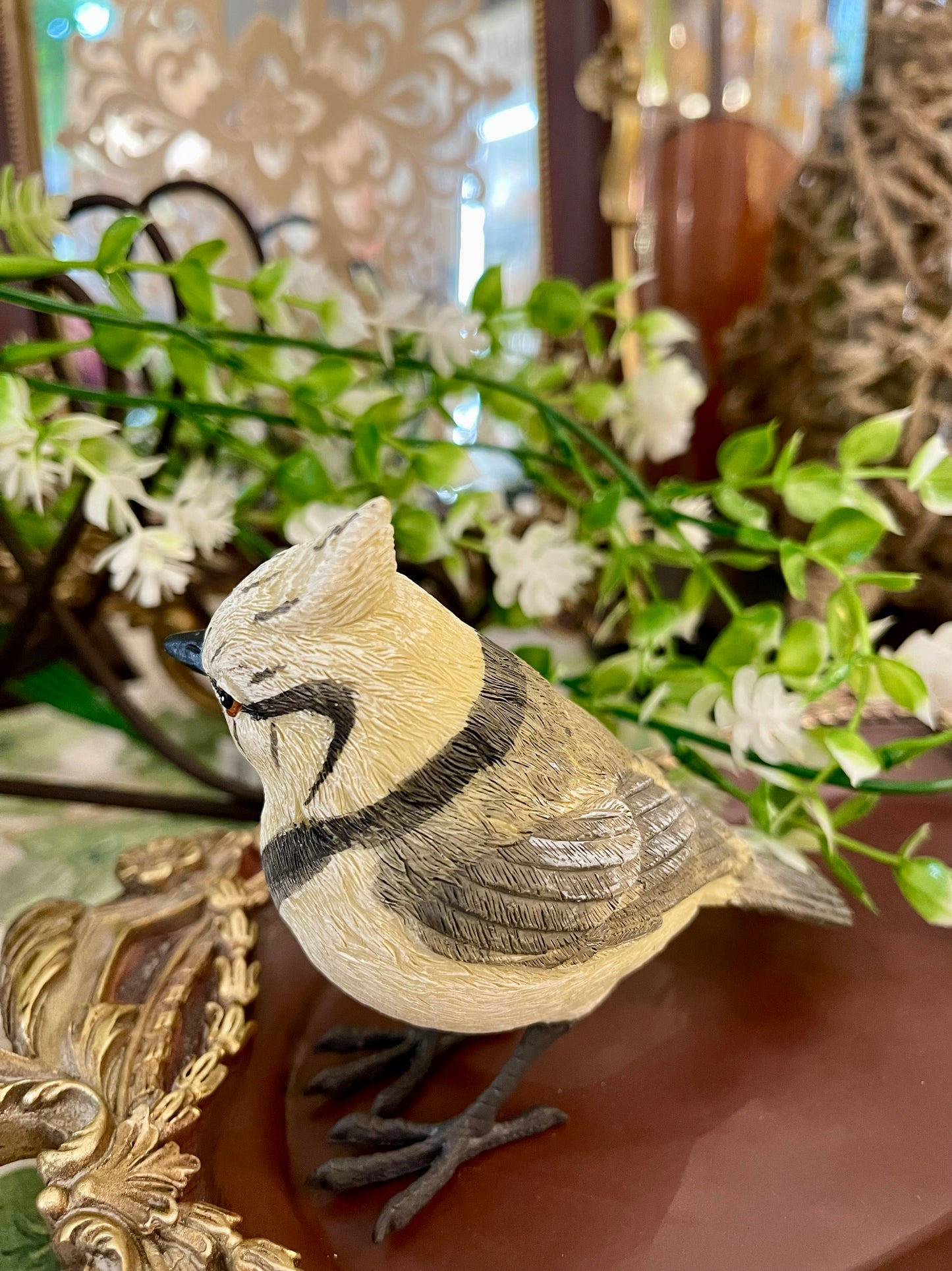 Mésange huppée