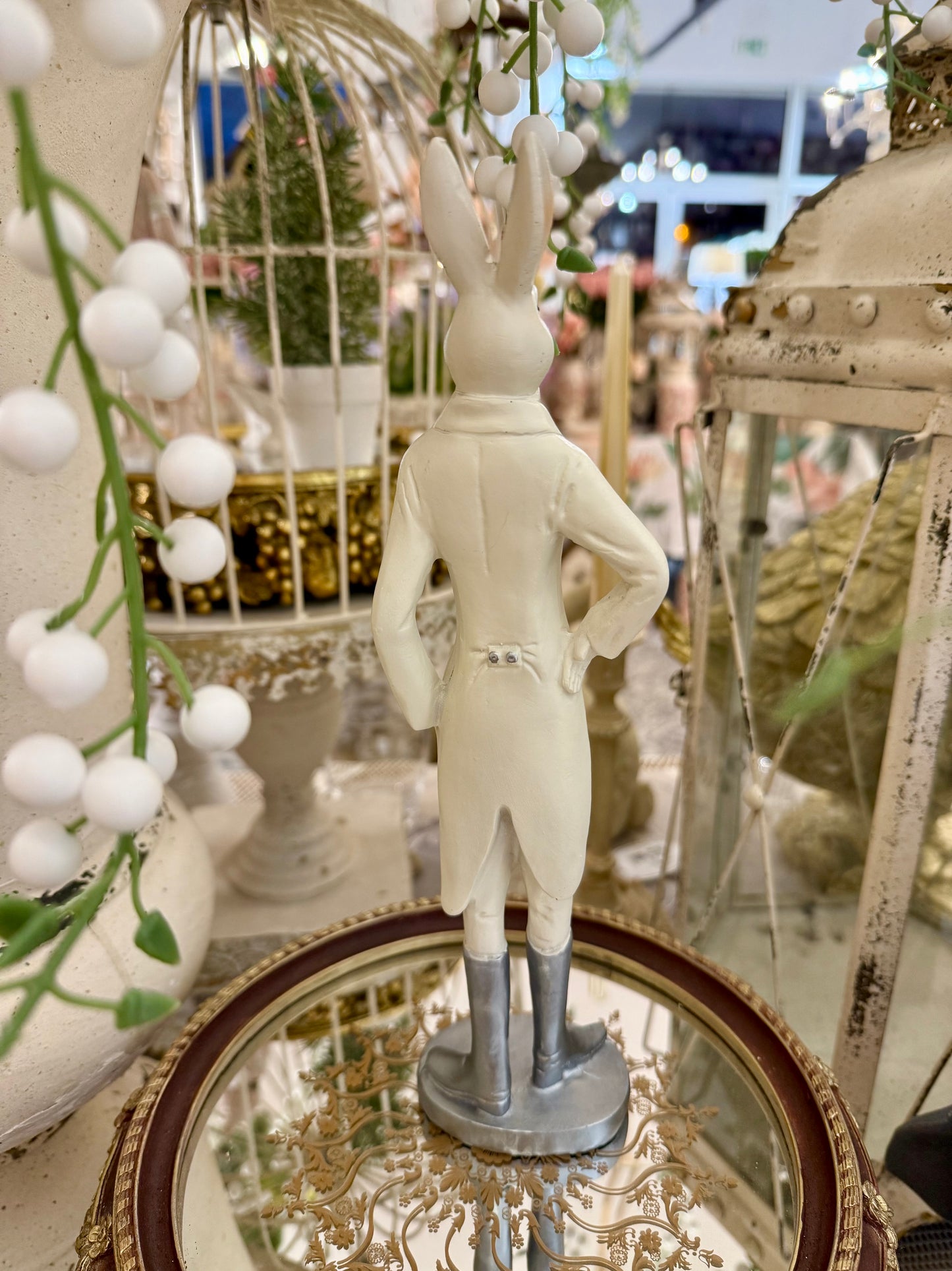 Prince Lapin Élégance