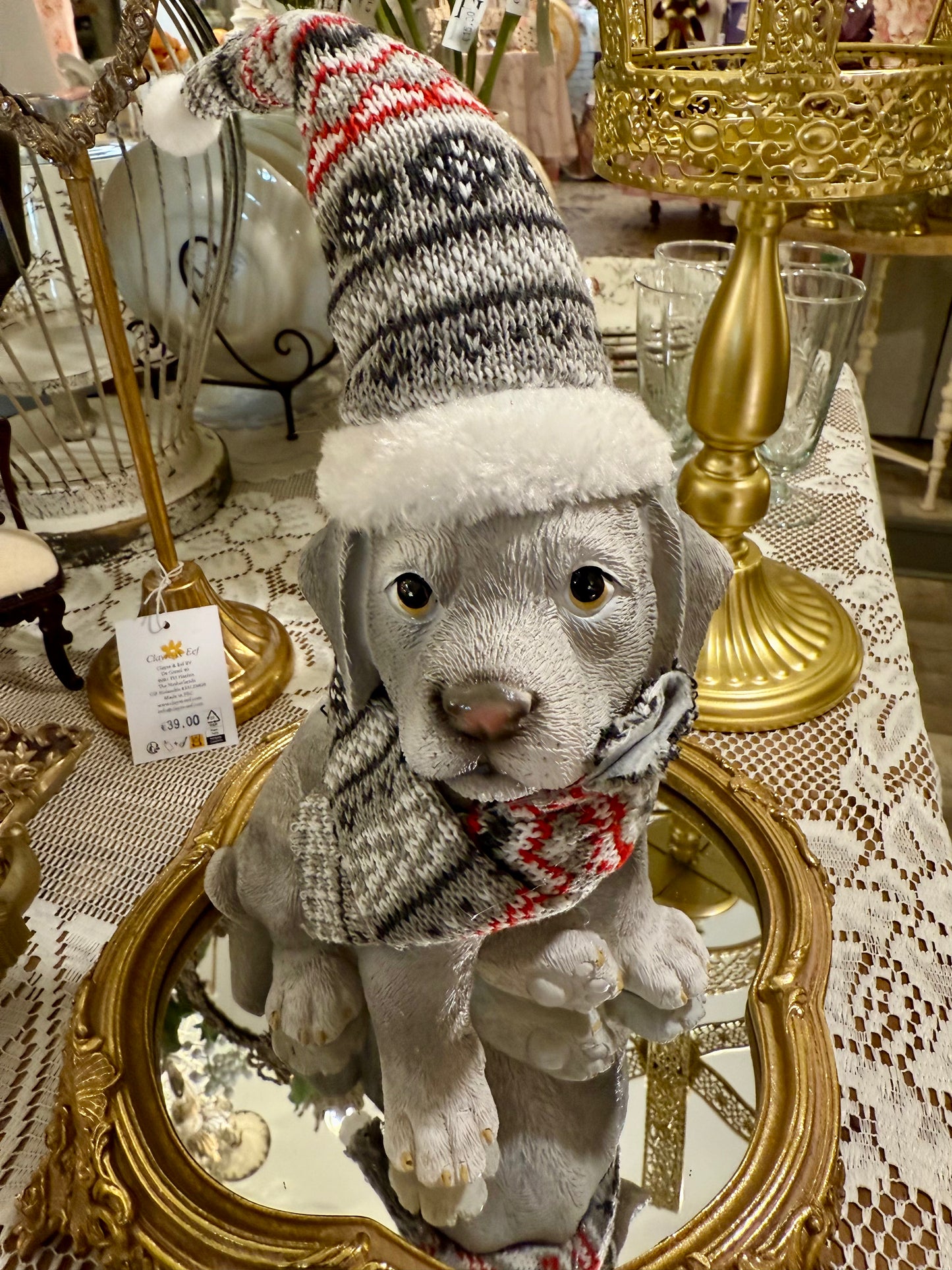 Chiot Frileux de Noël