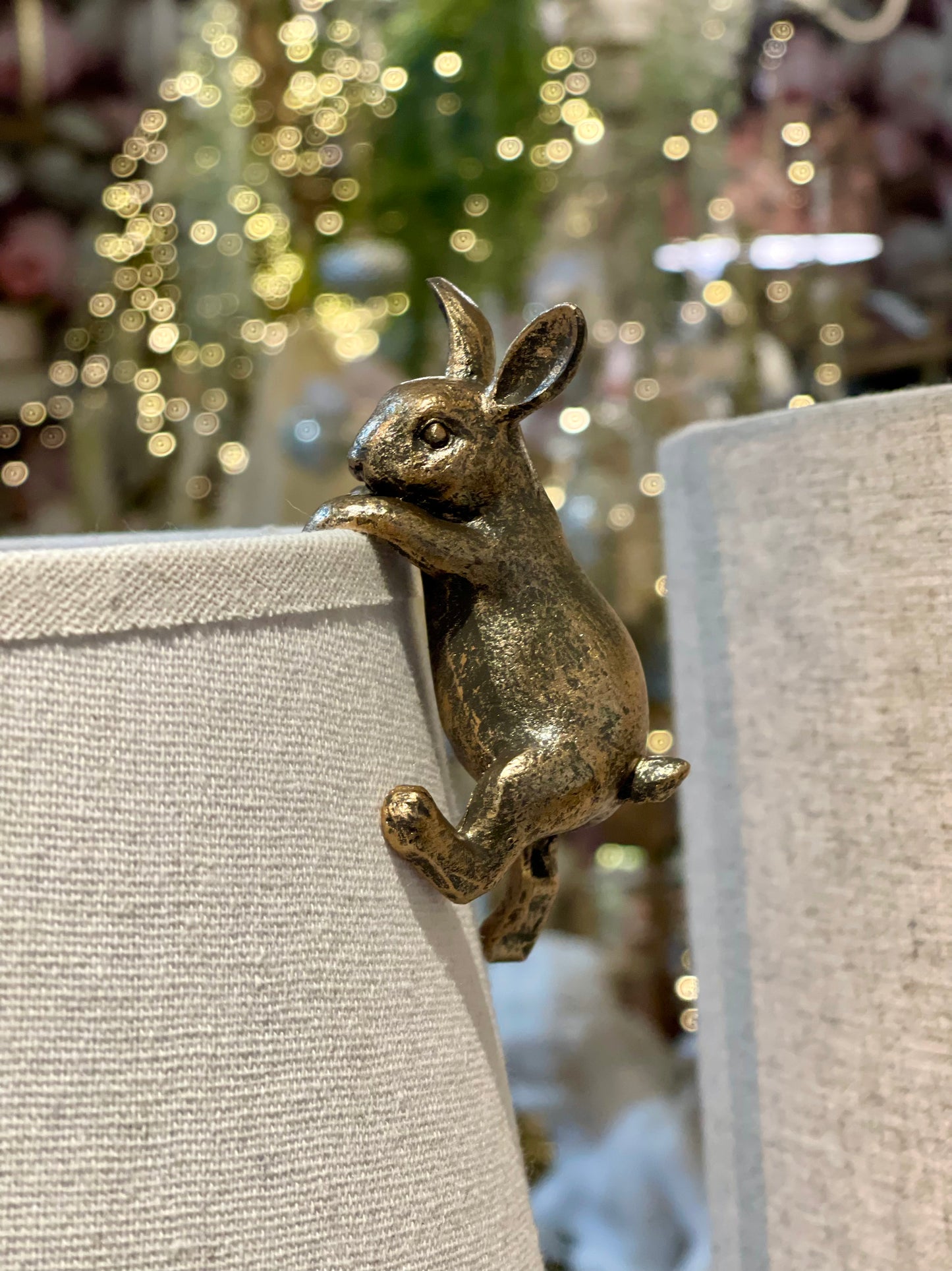 Petit Lapin Grimpeur