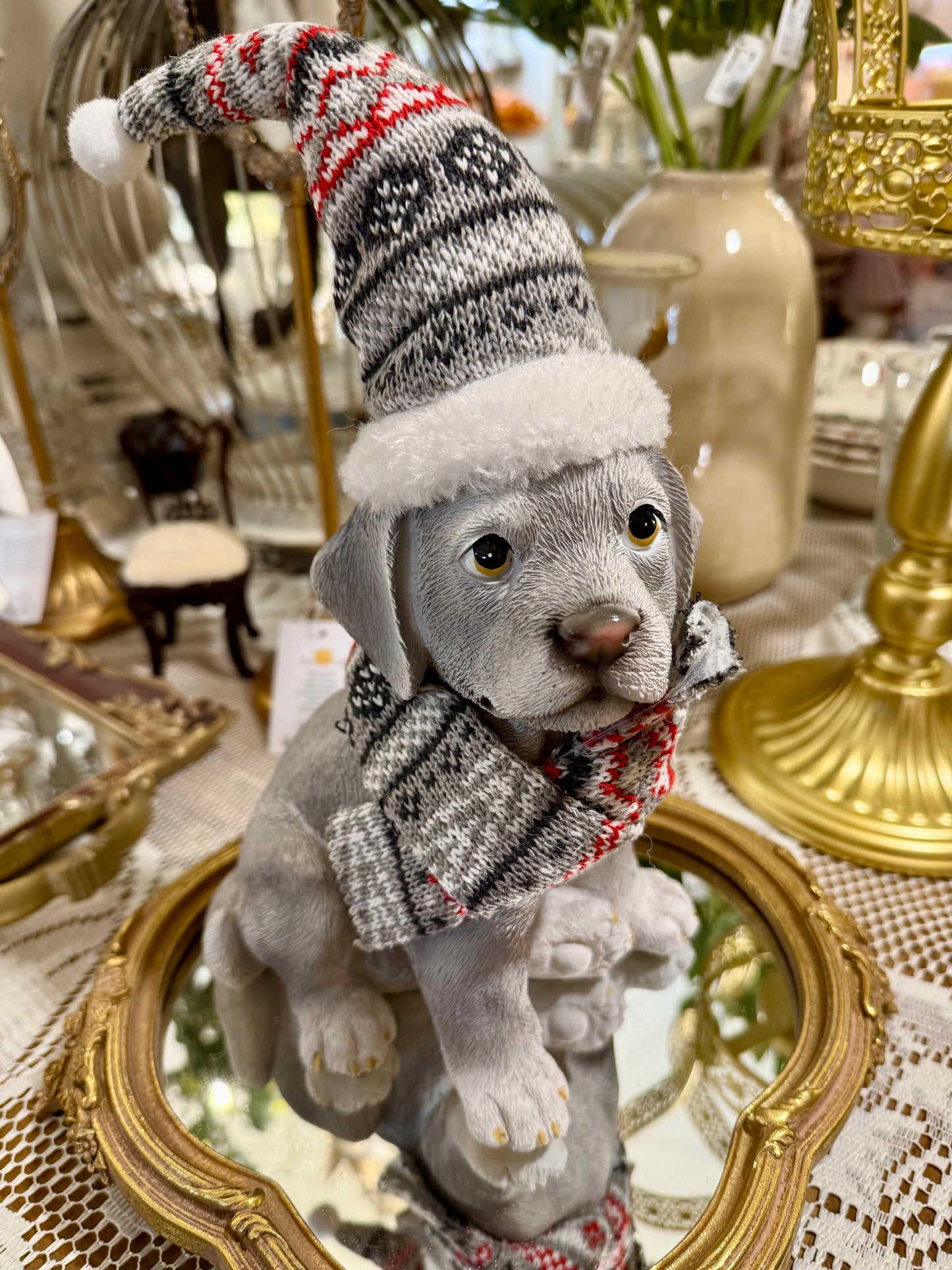 Chiot Frileux de Noël