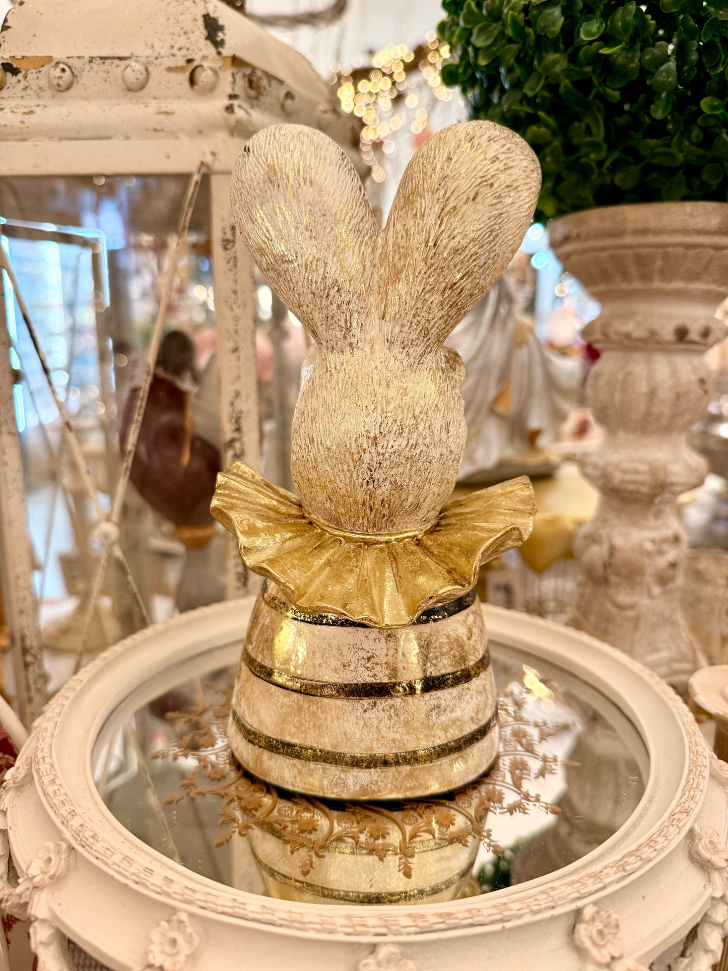 Mr Lapin Doré