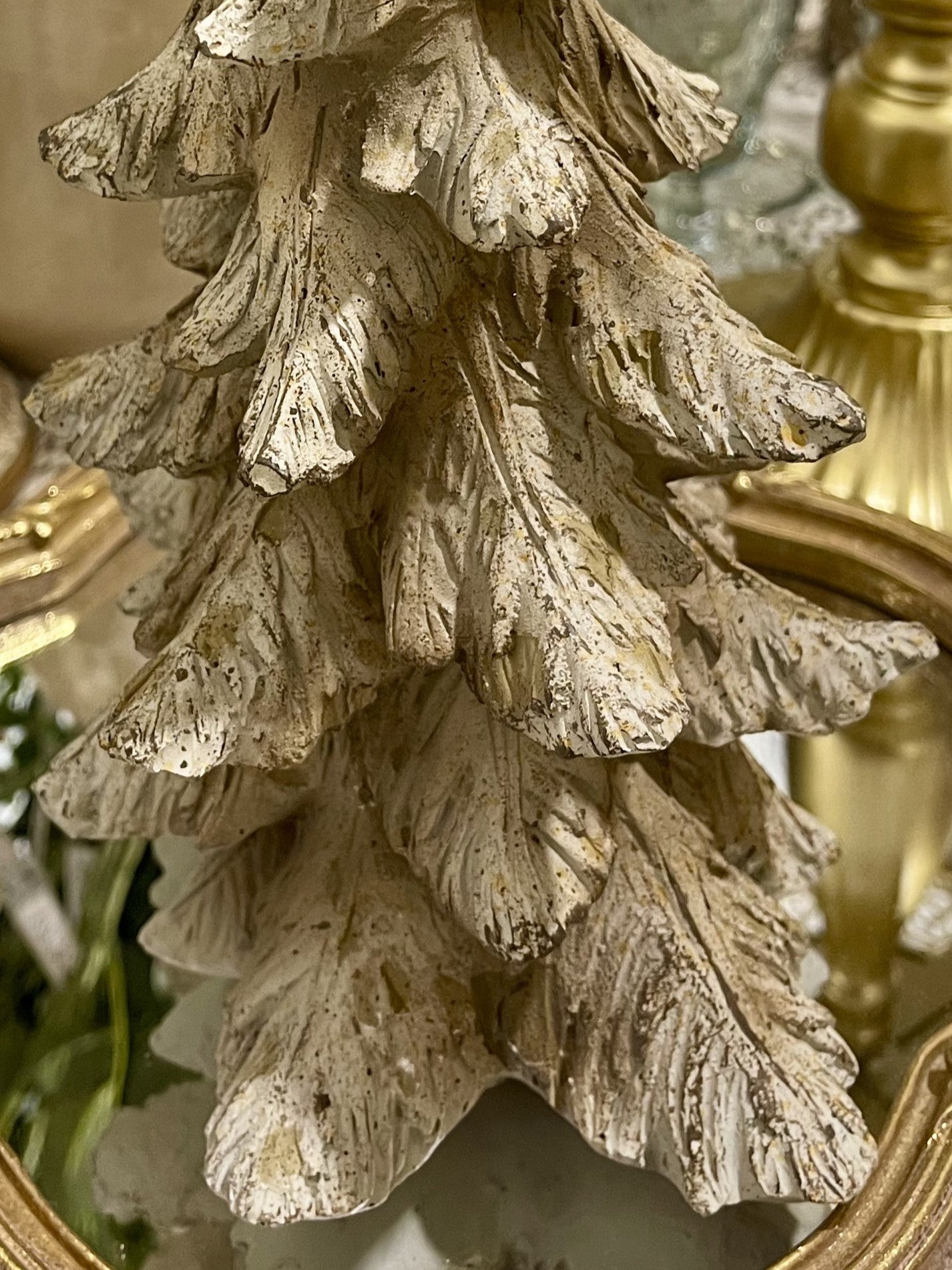 Sapin Roi des Neiges