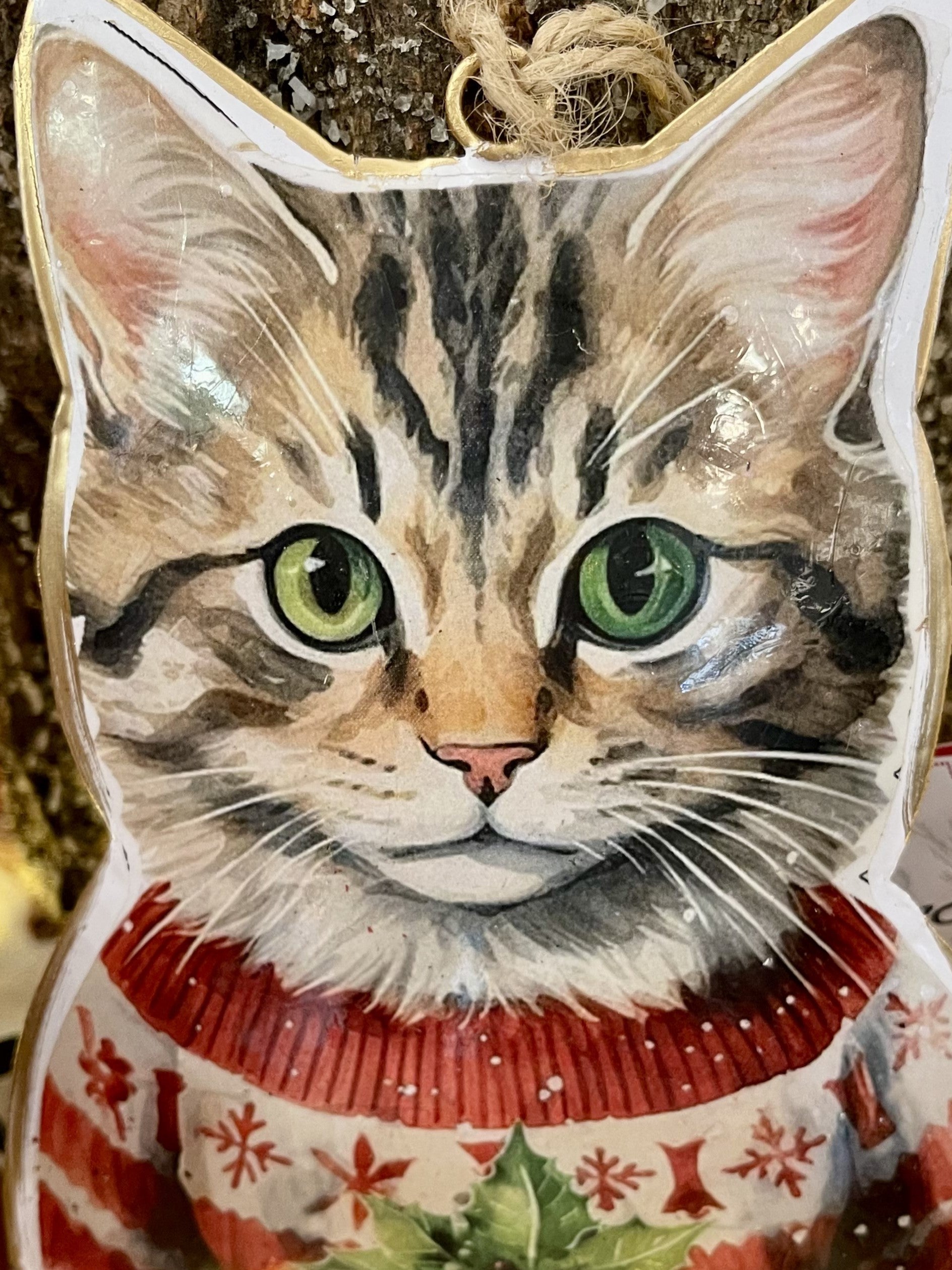 Chat à suspendre