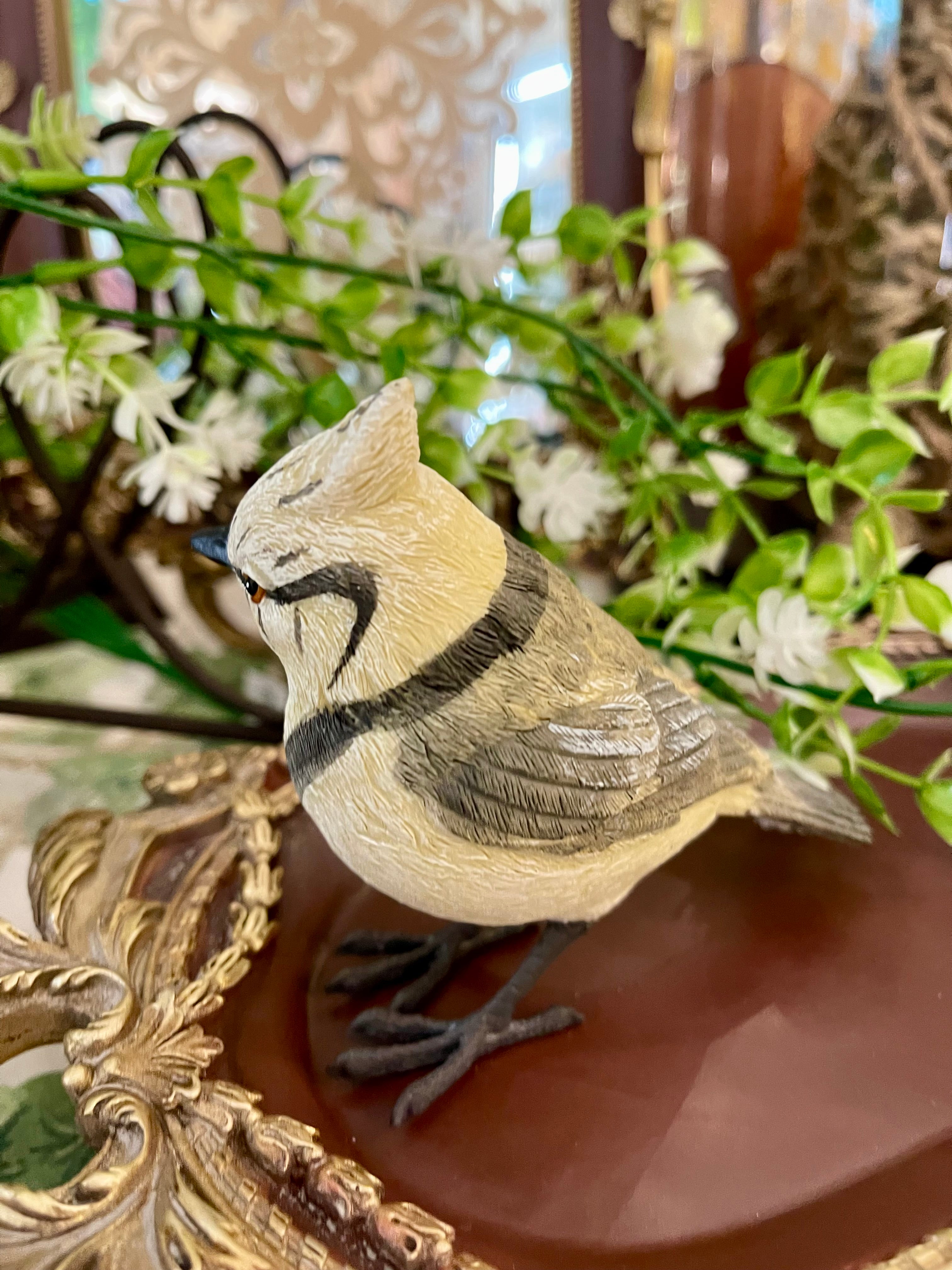 Mésange huppée