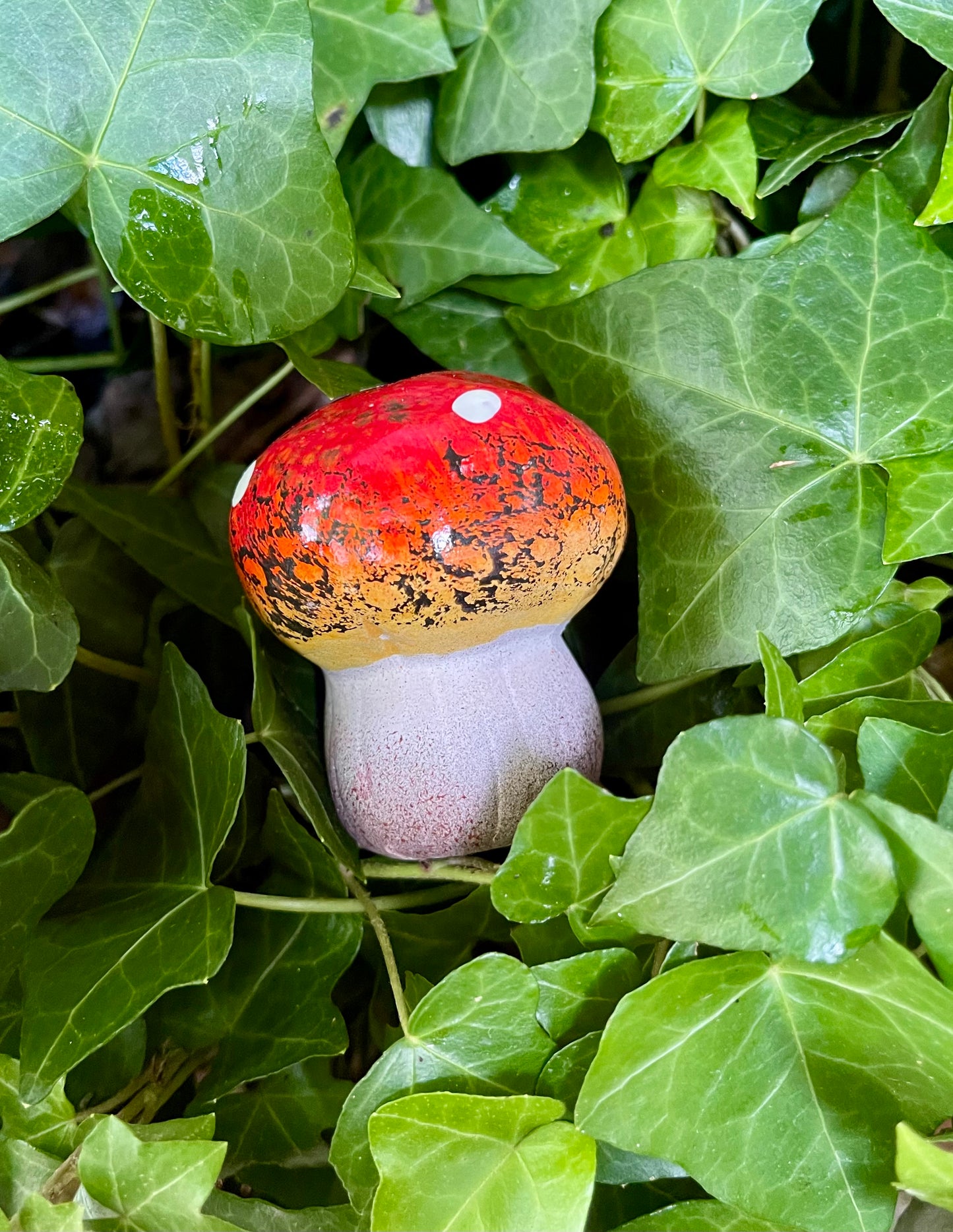 Petit champignon