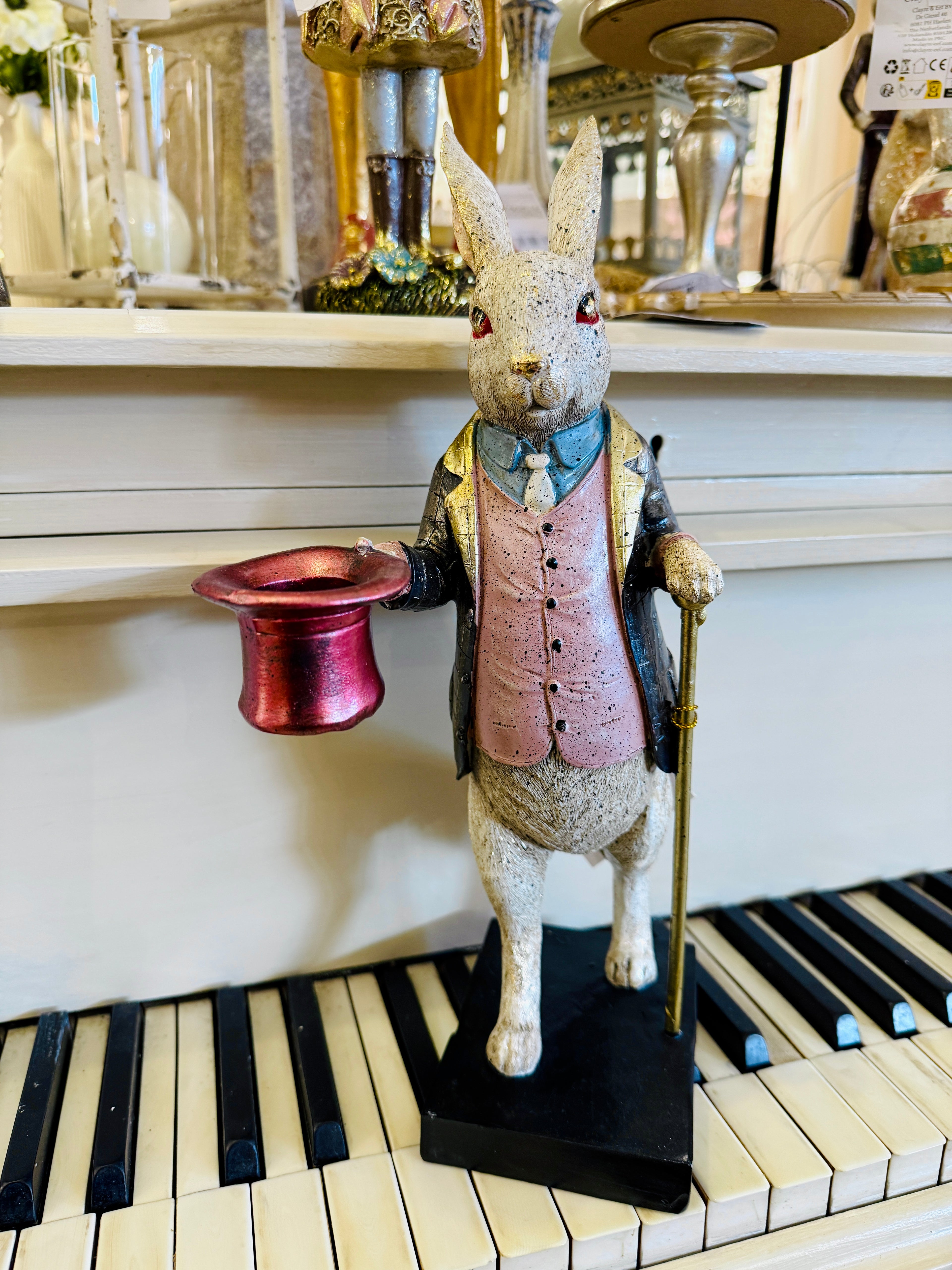 Lapin Élégant Magicien