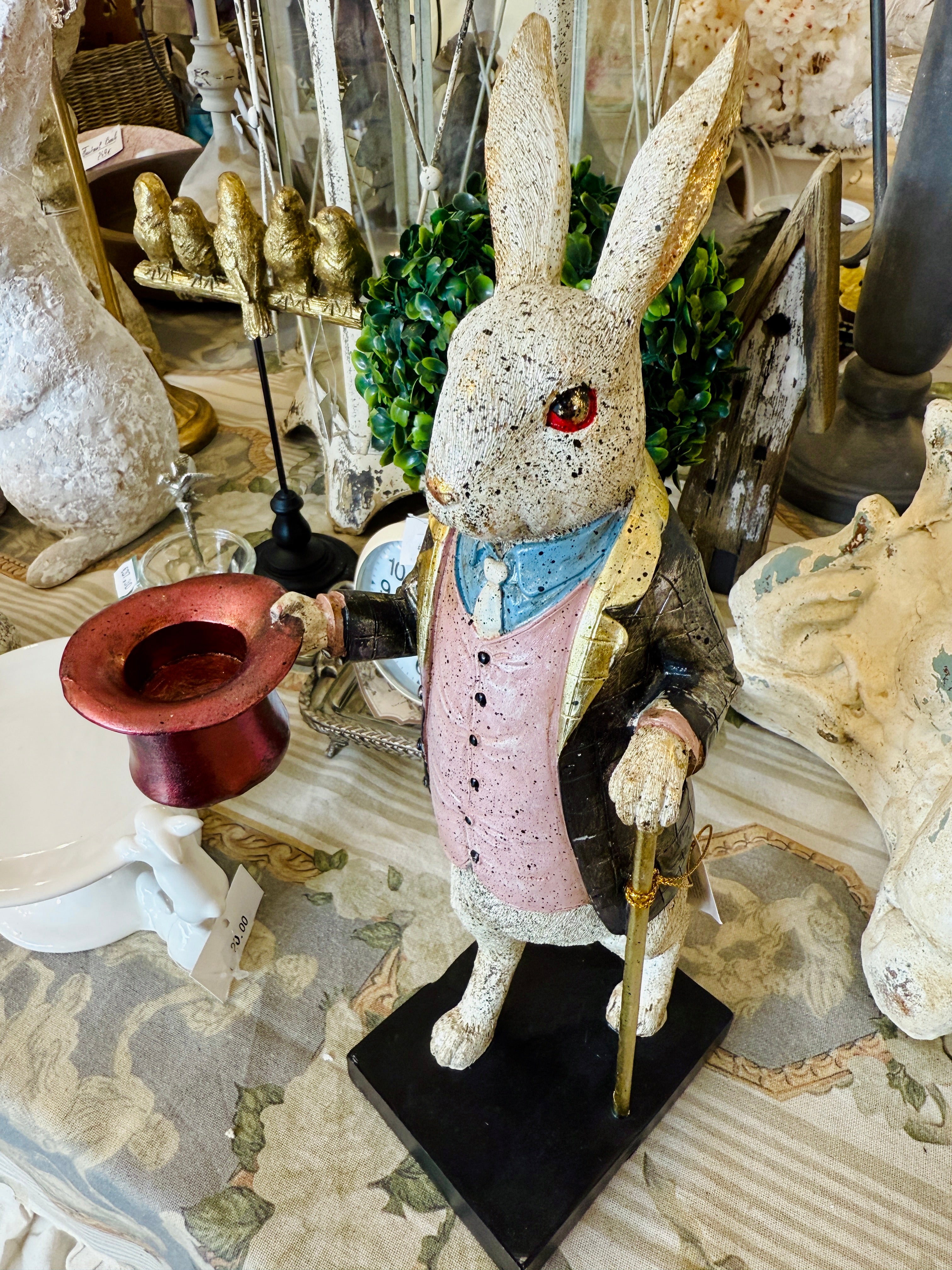 Lapin Élégant Magicien