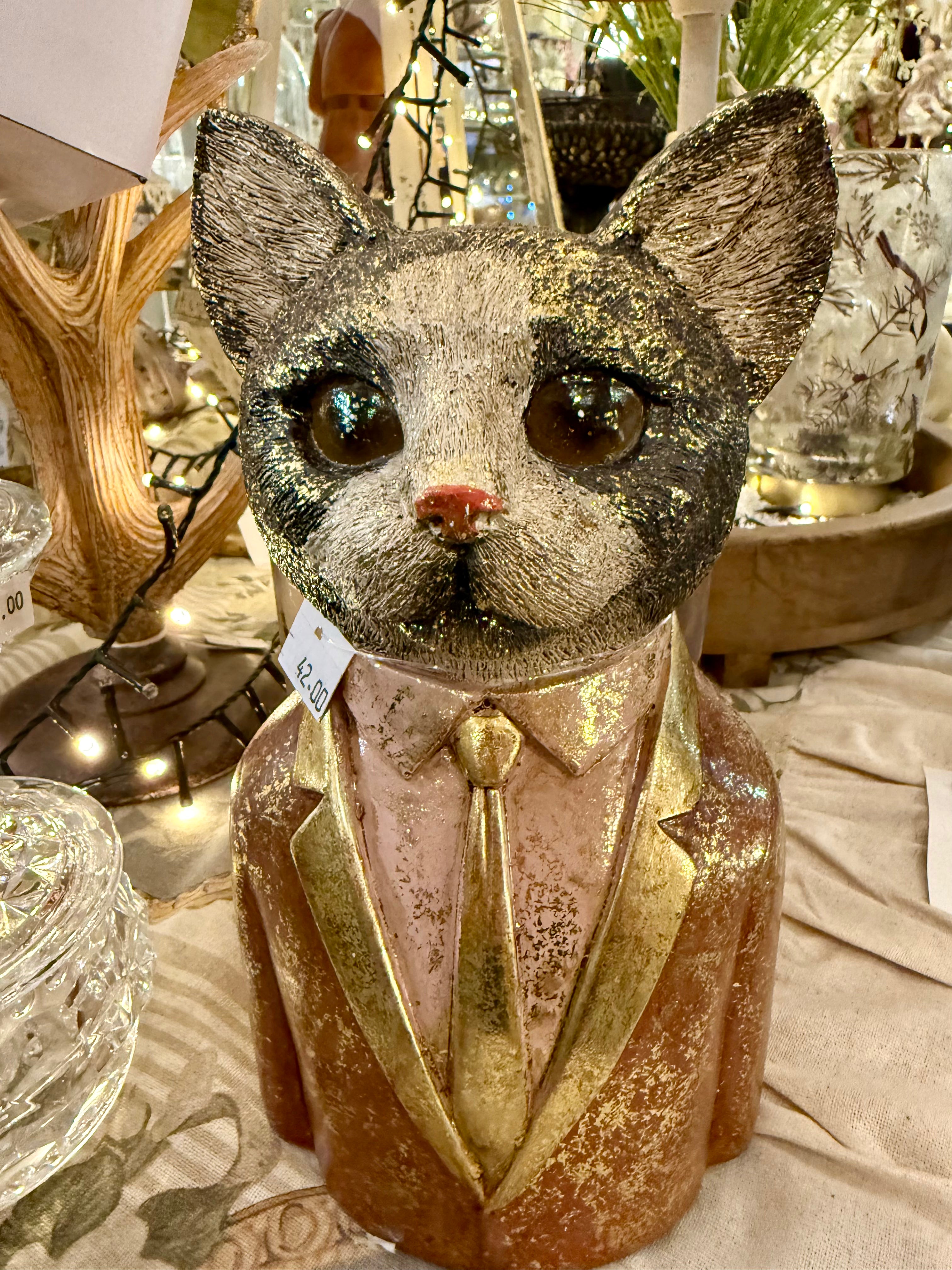 Maître chat