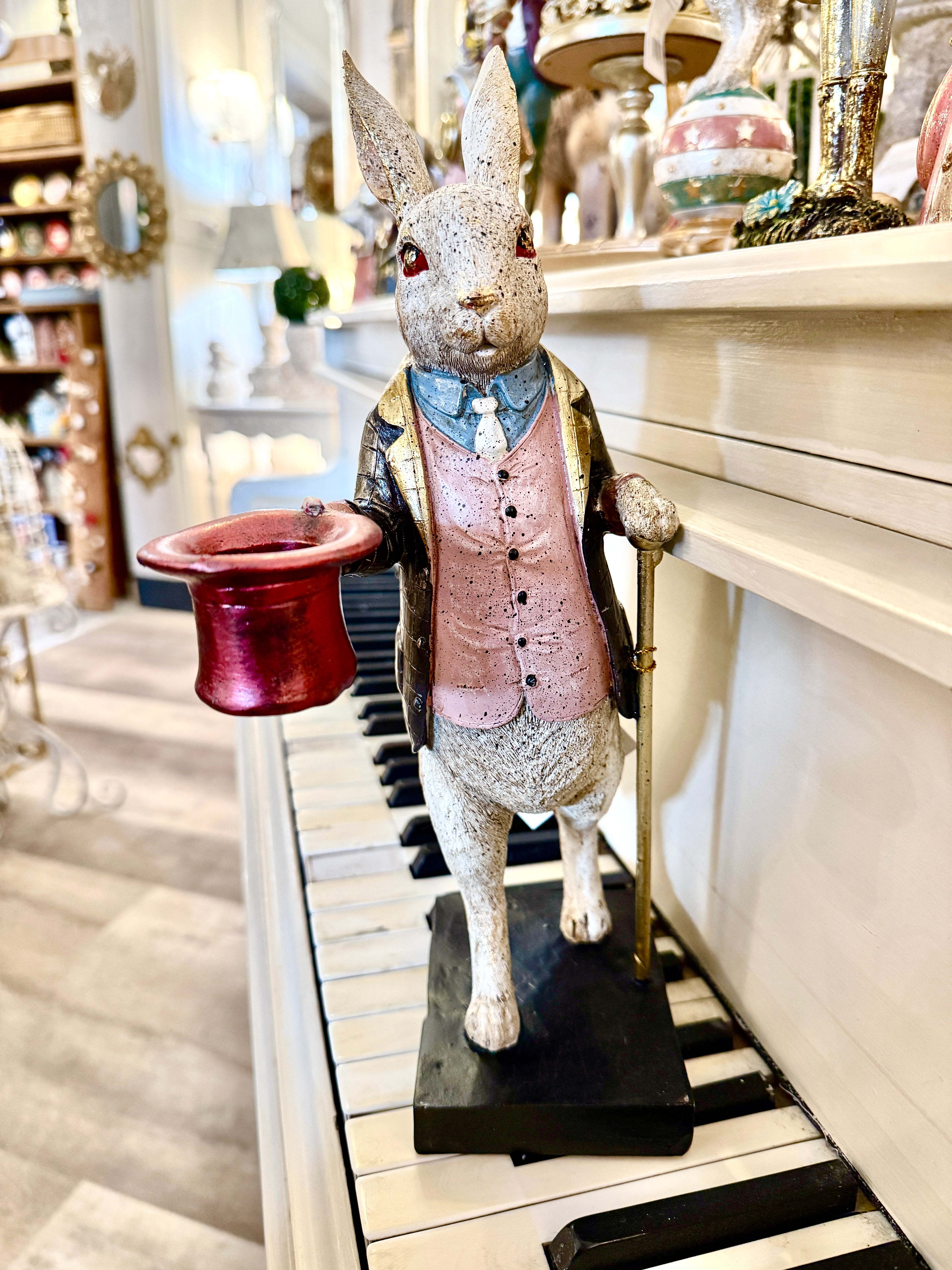 Lapin Élégant Magicien