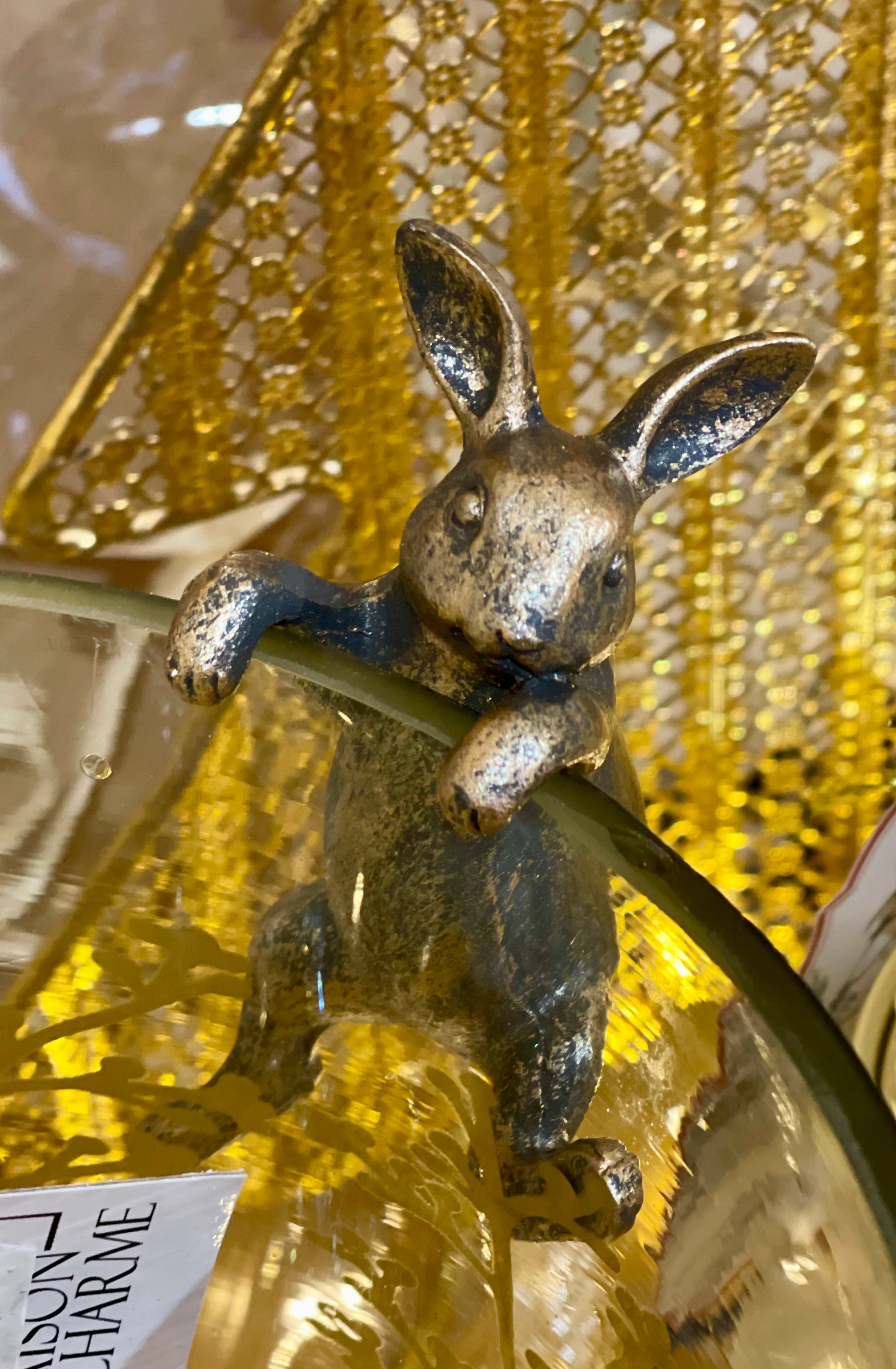 Petit Lapin Grimpeur