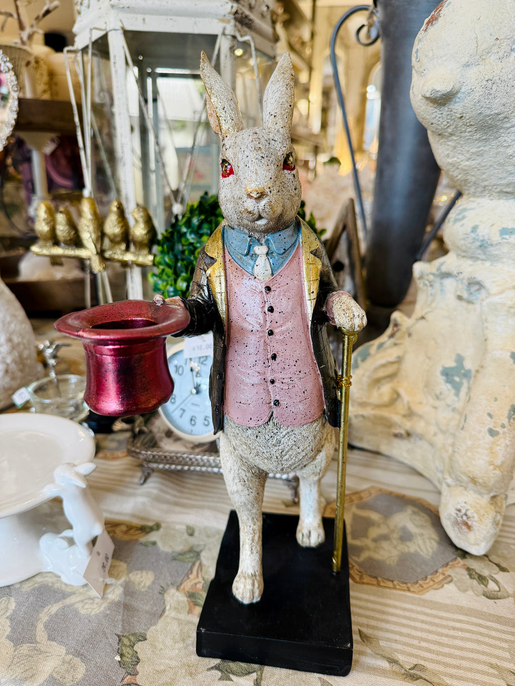 Lapin Élégant Magicien