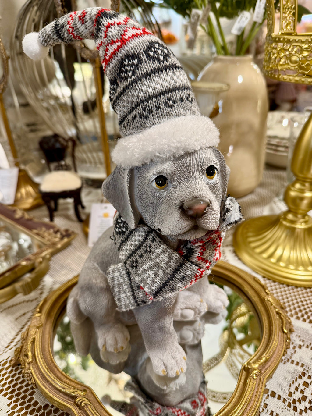 Chiot Frileux de Noël