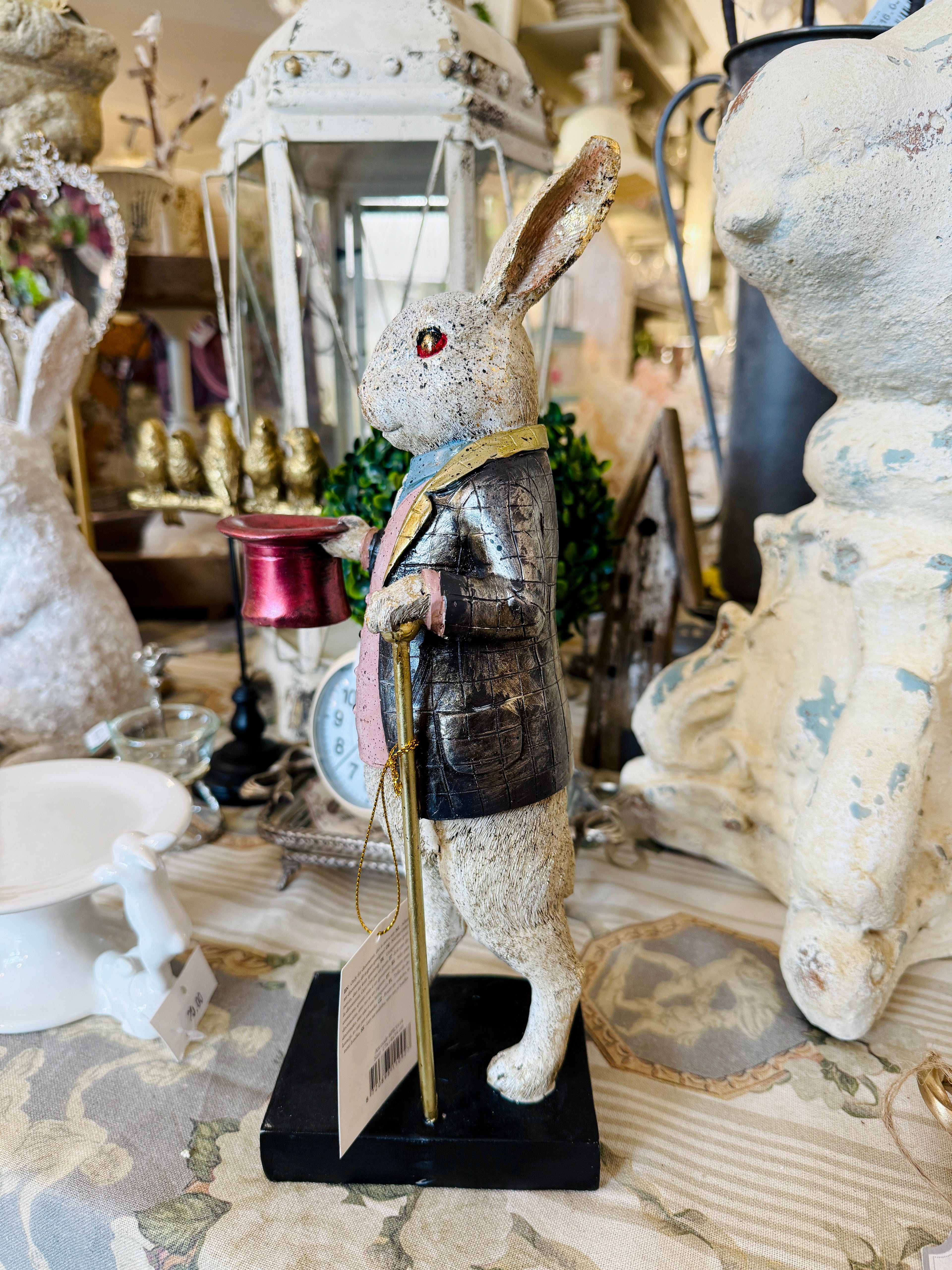 Lapin Élégant Magicien