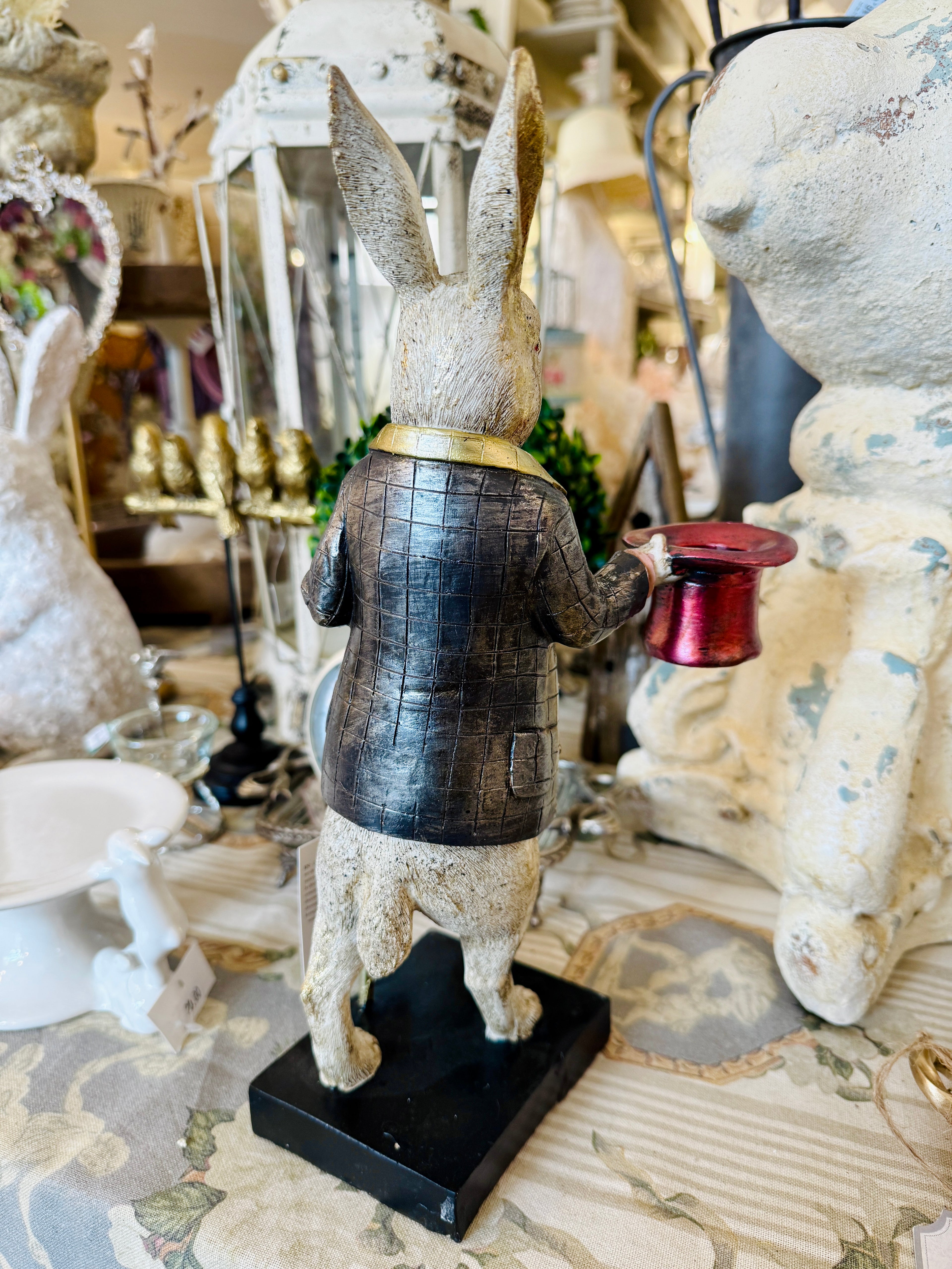Lapin Élégant Magicien