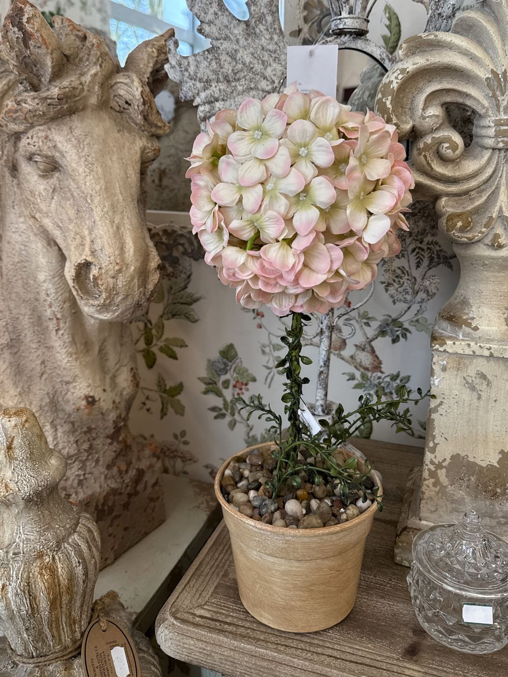 Hortensia Rosée sur Tige