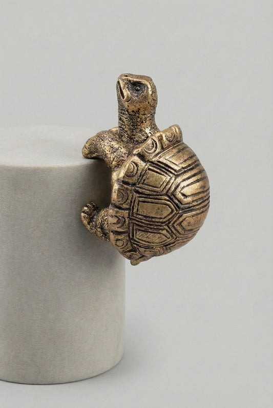 Petite tortue grimpeuse décorative dorée patinée, figurine de charme style shabby chic et ambiance romantique, posée sur un rebord