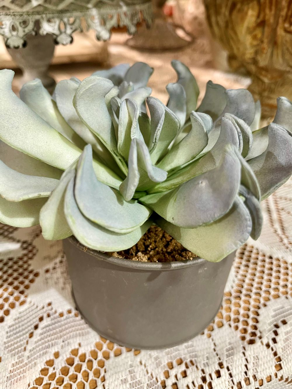 Plante grasse artificielle en pot gris flowers and garden décoration romantique shabby chic ambiance douce et naturelle