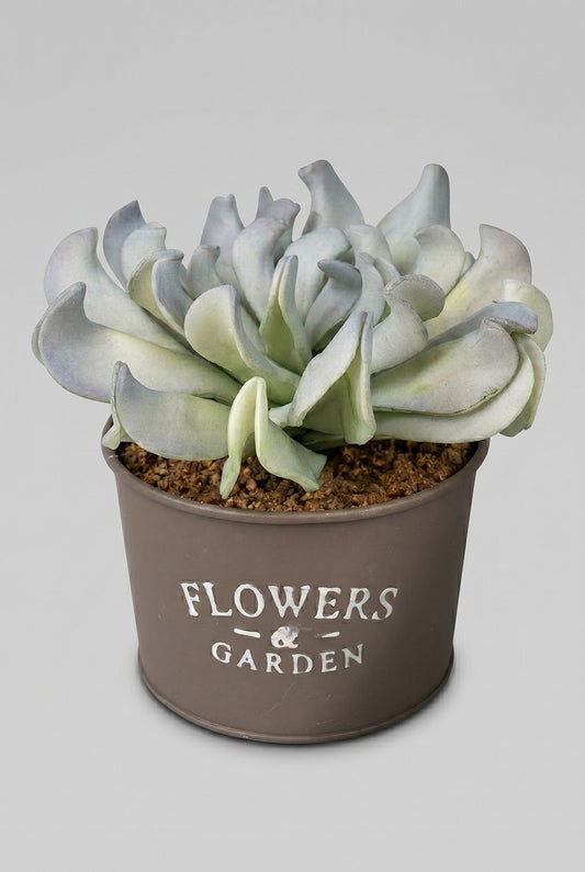 Plante grasse artificielle en pot gris flowers and garden décoration romantique shabby chic ambiance douce et naturelle