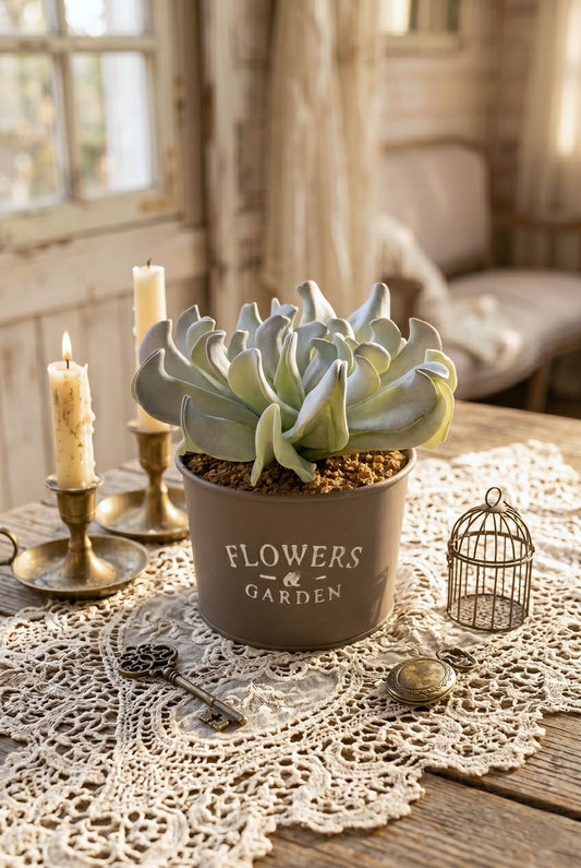 Plante grasse artificielle en pot gris flowers and garden décoration romantique shabby chic ambiance douce et naturelle